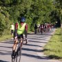 dsc04854_web